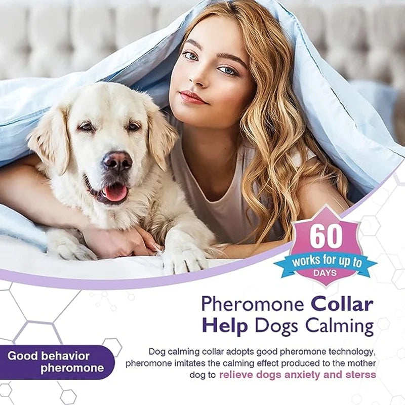  Dog Calming Pheromone Collars Pet Relief for Anxiety Adjustable Comfortable Collar for Puppy and Large Dog