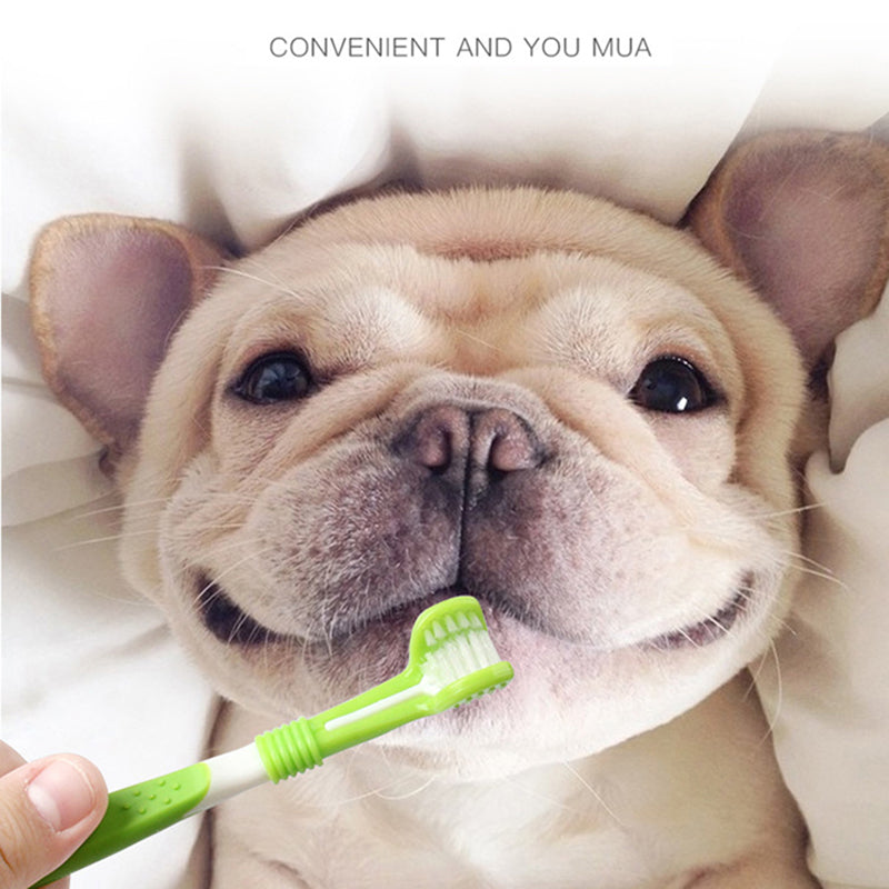 Pet Silicone Finger Toothbrush Dog Three-Head Toothbrush