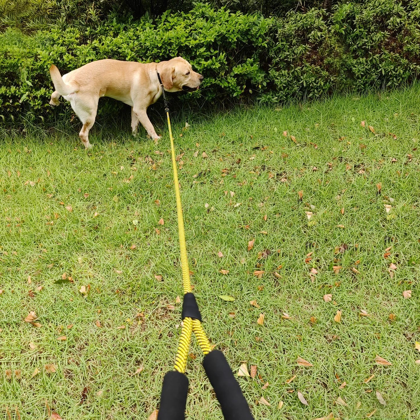  6ft Heavy Duty Rope Dog Leash, Soft Padded Handle 