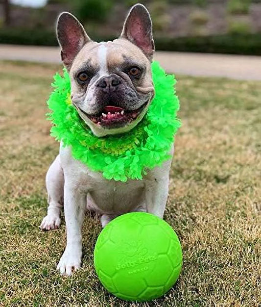 Green 6 In" Apple Scented Rubber soccer ball Chew Toy