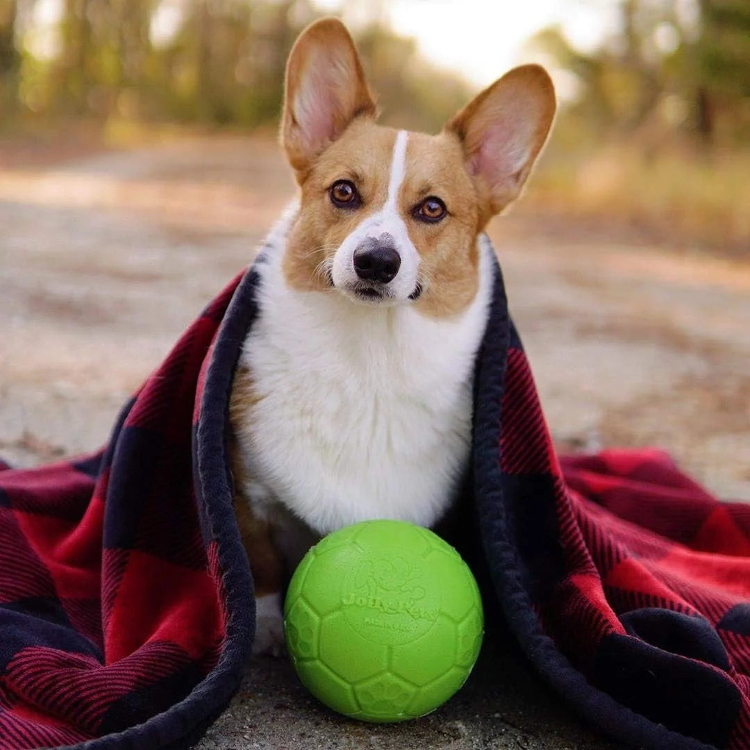 Green 6 In" Apple Scented Rubber soccer ball Chew Toy